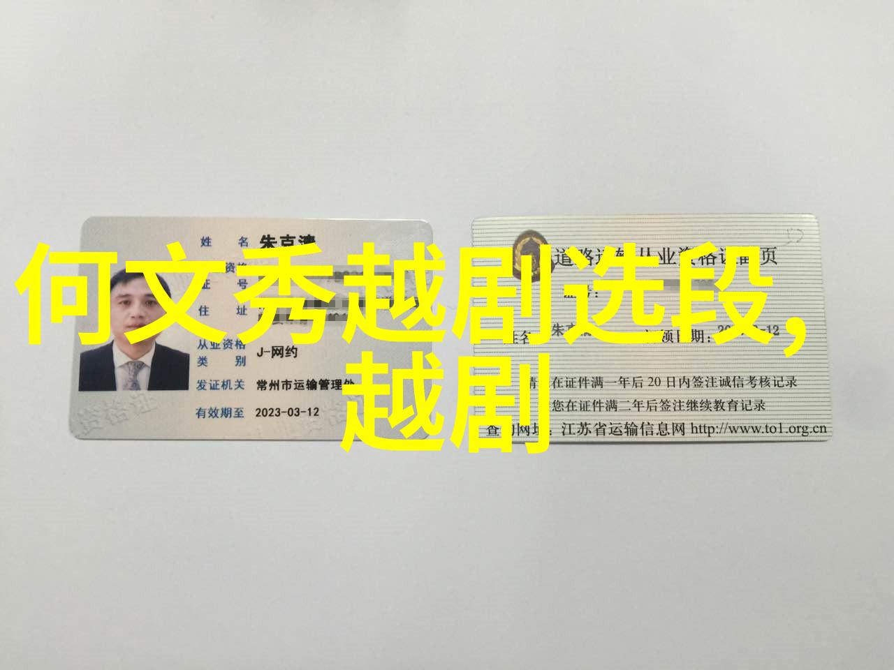 越剧龙镯冤