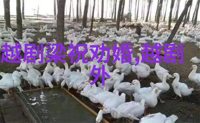 越剧龙虎斗