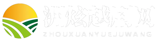 洲炫越剧网